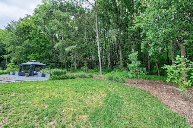 11116 Branding Iron Pl, Wendell, NC 27591 - photo 52