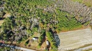3358 Ernest Williams Rd, Autryville, NC 28318 - photo 8