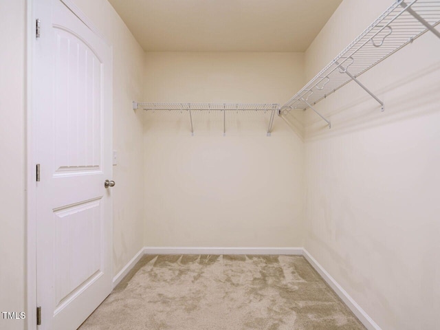 117 Torrey Heights Ln, Durham, NC 27703 - photo 24