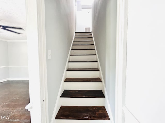 1312 Hill St, Rocky Mount, NC 27801 - photo 15