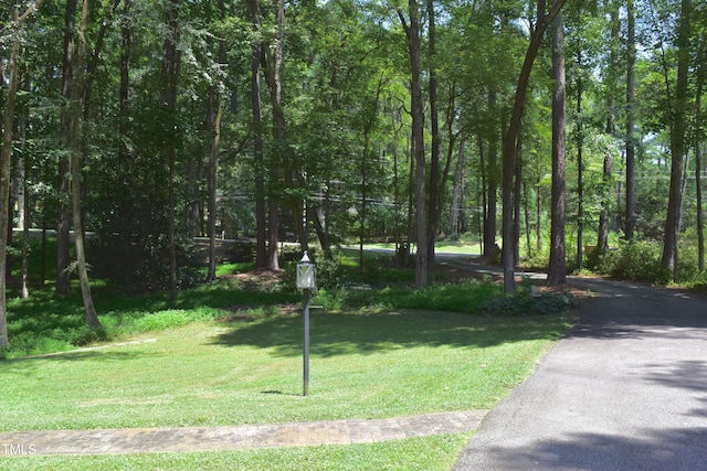 735 Durham Rd, Wake Forest, NC 27587 - photo 4