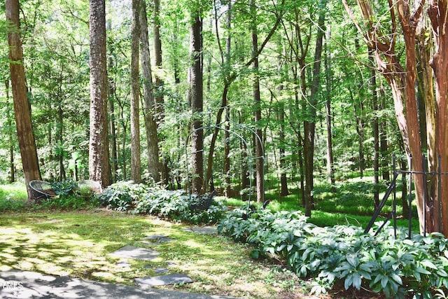 735 Durham Rd, Wake Forest, NC 27587 - photo 39