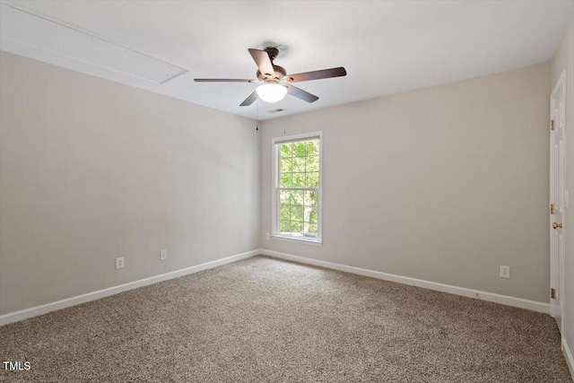 1913 Katesbridge Ln, Raleigh, NC 27614 - photo 26