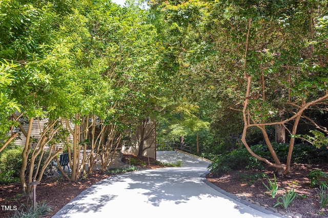 108 Rose Ln, Chapel Hill, NC 27514 - photo 49