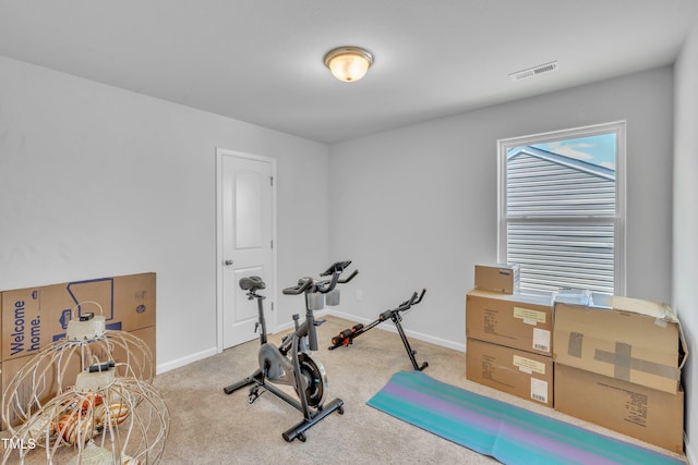 248 Rustling Way, Zebulon, NC 27597 - photo 27