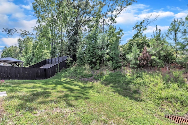 248 Rustling Way, Zebulon, NC 27597 - photo 35