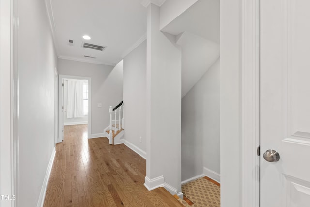 785 Fallon Grove Way, Raleigh, NC 27608 - photo 33