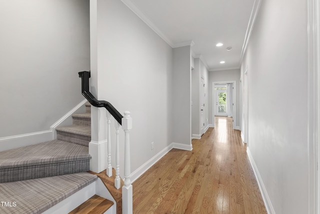 785 Fallon Grove Way, Raleigh, NC 27608 - photo 8
