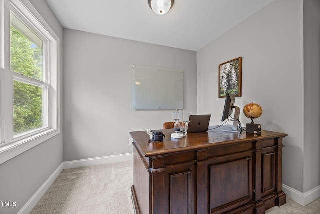2236 Mills Crest St, Fuquay Varina, NC 27526 - photo 32