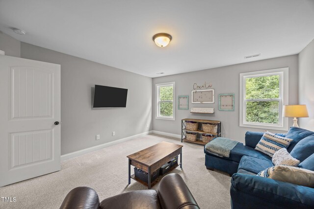 2236 Mills Crest St, Fuquay Varina, NC 27526 - photo 37