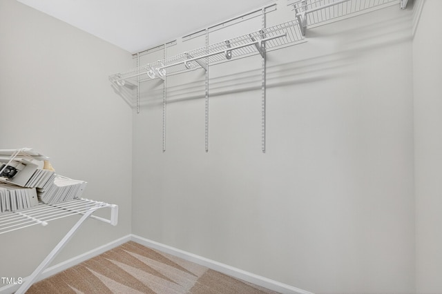 7130 Racine Way, Raleigh, NC 27615 - photo 14