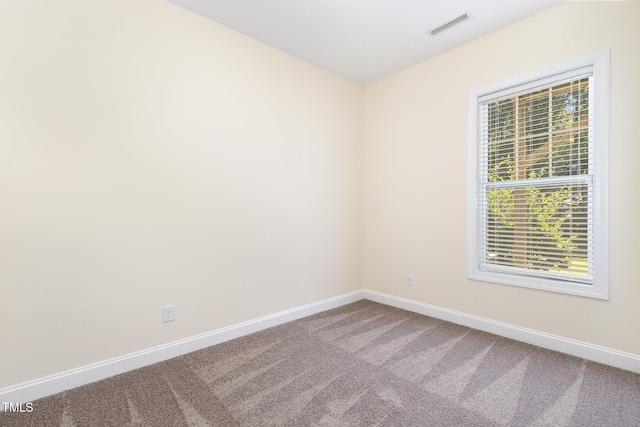417 Christian Creek Pl, Cary, NC 27519 - photo 21
