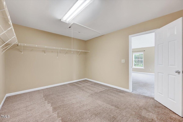 619 Ashburn Ln, Durham, NC 27703 - photo 22