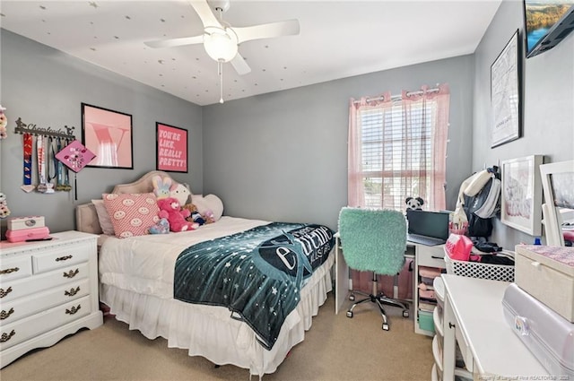 95 Jumpmaster Dr, Broadway, NC 27505 - photo 20