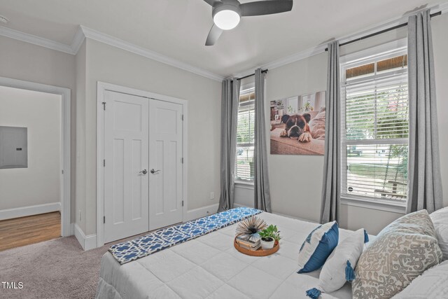 414 Heather Dr, Raleigh, NC 27606 - photo 19