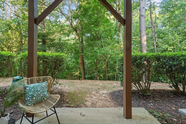 4802 Black Mountain Path, Raleigh, NC 27612 - photo 29
