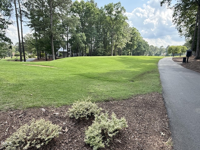 107 Ivy Hollow Ct, Morrisville, NC 27560 - photo 5
