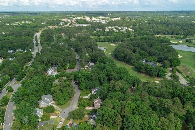 107 Ivy Hollow Ct, Morrisville, NC 27560 - photo 35