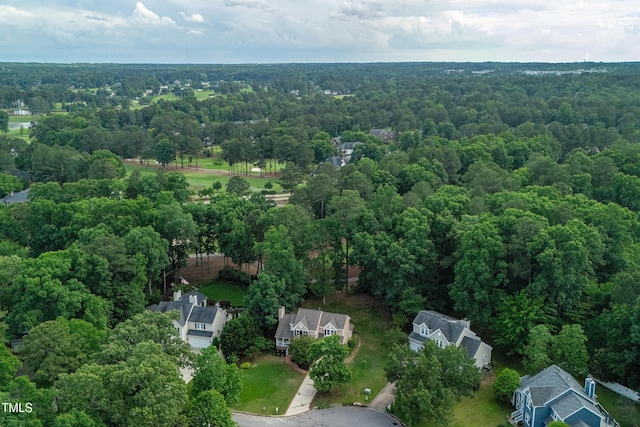 107 Ivy Hollow Ct, Morrisville, NC 27560 - photo 36