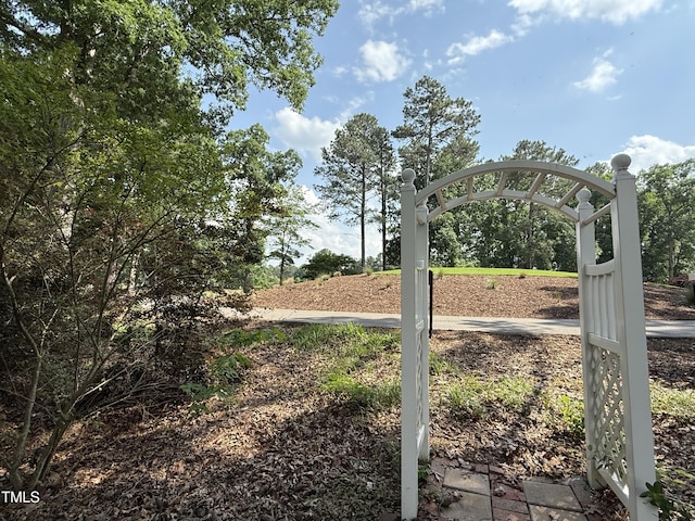107 Ivy Hollow Ct, Morrisville, NC 27560 - photo 40