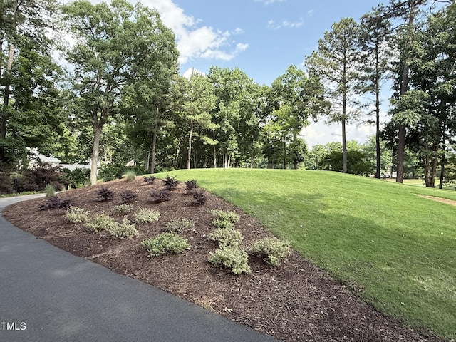 107 Ivy Hollow Ct, Morrisville, NC 27560 - photo 41