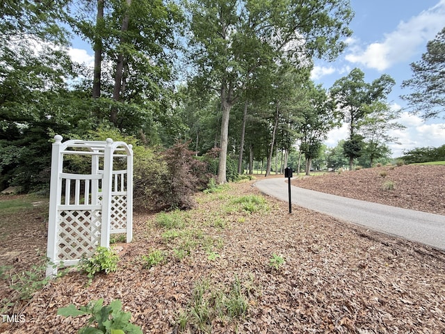 107 Ivy Hollow Ct, Morrisville, NC 27560 - photo 43