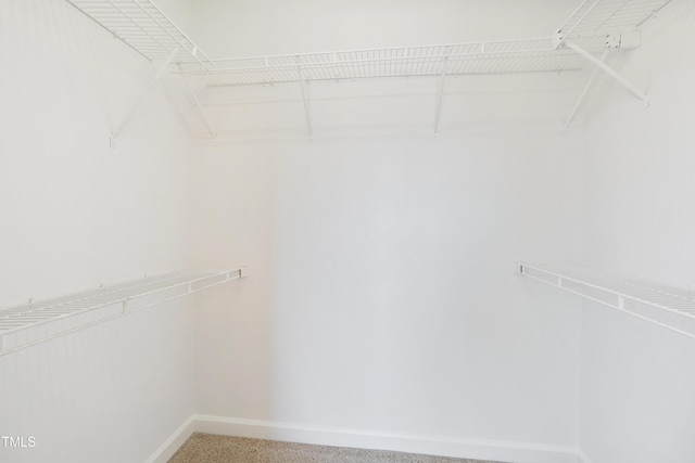 1010 Warren Rd, Erwin, NC 28339 - photo 44