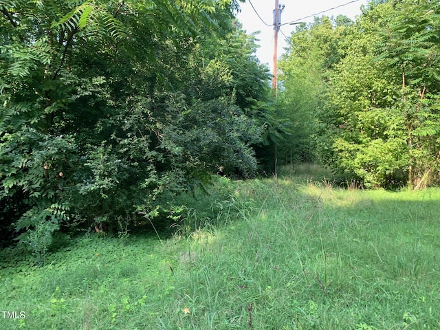 4375 Swepsonville Saxapahaw Rd Unit E, Graham, NC 27253 - photo 10