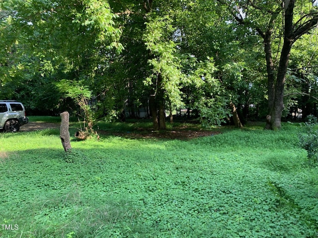 4375 Swepsonville Saxapahaw Rd Unit E, Graham, NC 27253 - photo 11