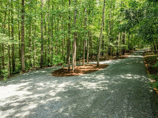 801 Creekstone Dr, Chapel Hill, NC 27516 - photo 53