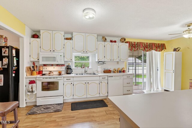 788 Gor-An Farm Rd, Selma, NC 27576 - photo 9