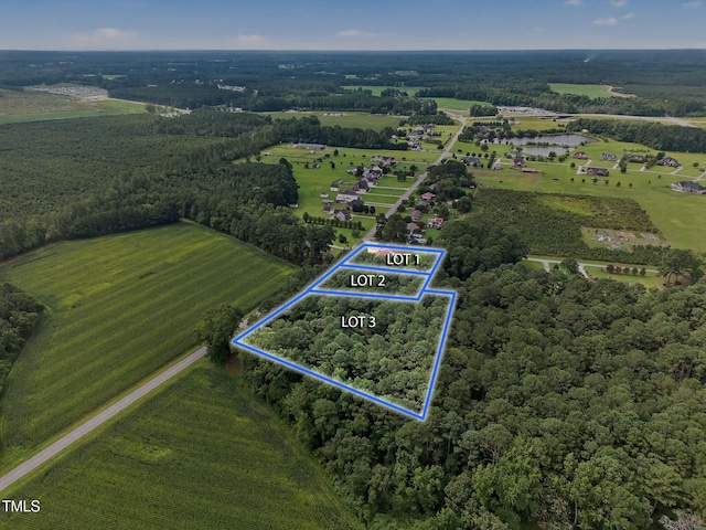 788 Gor-An Farm Rd, Selma, NC 27576 - photo 29