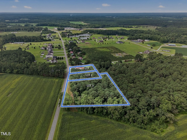788 Gor-An Farm Rd, Selma, NC 27576 - photo 30