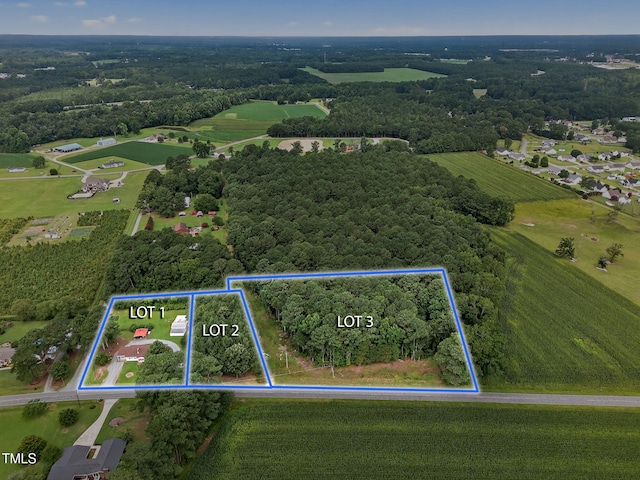 788 Gor-An Farm Rd, Selma, NC 27576 - photo 3