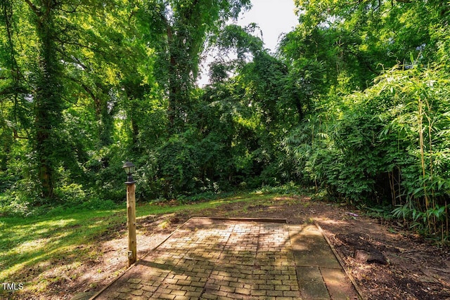 204 E Lynch St, Durham, NC 27701 - photo 19