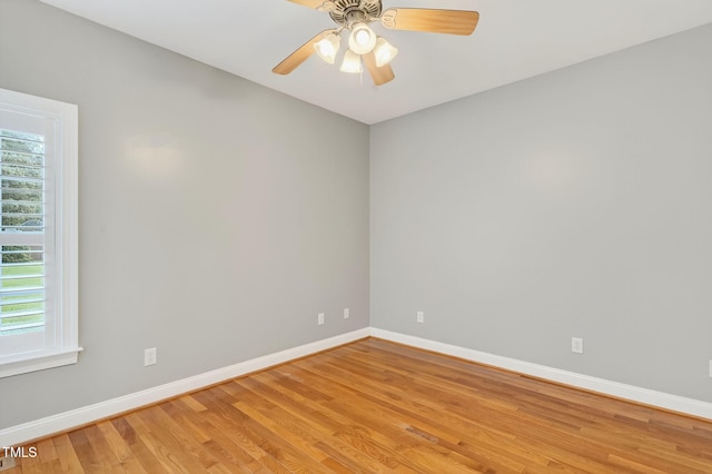 207 Sevendales Dr, Goldsboro, NC 27534 - photo 24