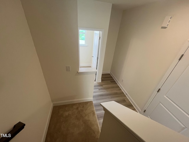 6129 Arsenal Ave, Raleigh, NC 27610 - photo 16
