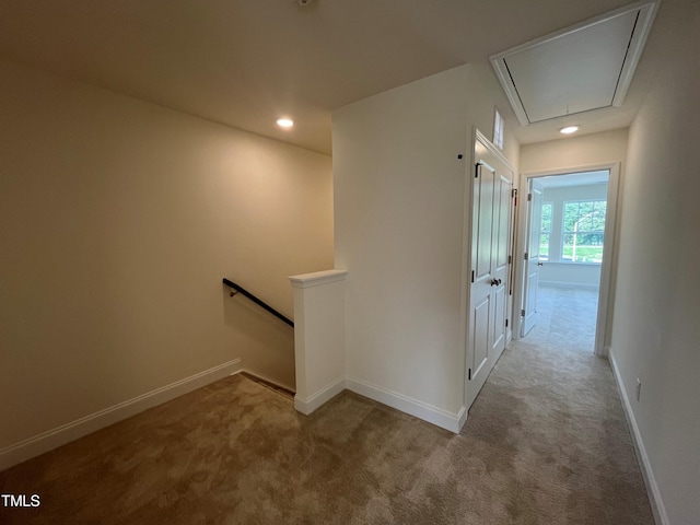 6129 Arsenal Ave, Raleigh, NC 27610 - photo 17