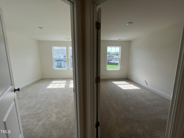 6129 Arsenal Ave, Raleigh, NC 27610 - photo 19