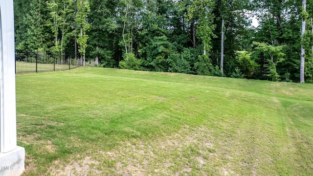 46 Curling Creek Dr, Clayton, NC 27527 - photo 38