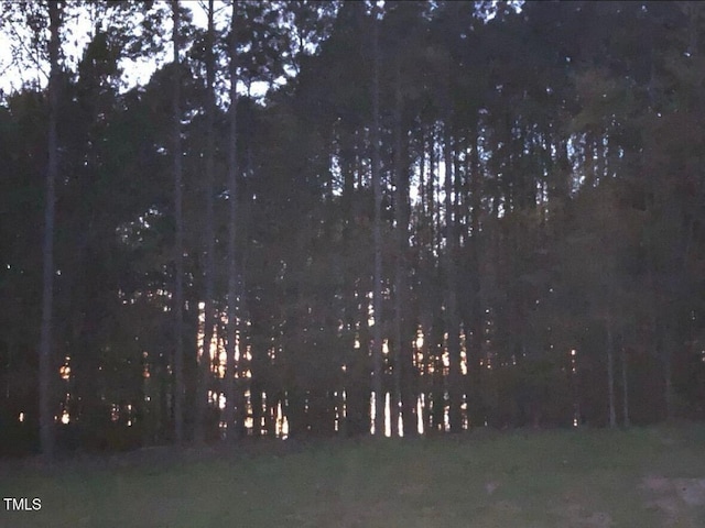 317 Doc Ln, Manson, NC 27553 - photo 6