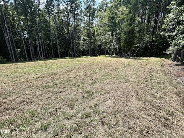 317 Doc Ln, Manson, NC 27553 - photo 11