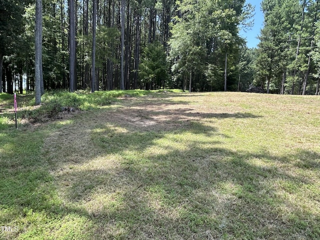 317 Doc Ln, Manson, NC 27553 - photo 14
