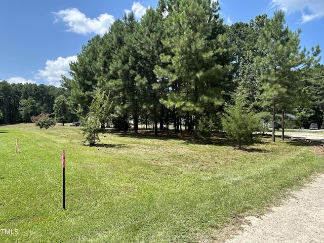 317 Doc Ln, Manson, NC 27553 - photo 19