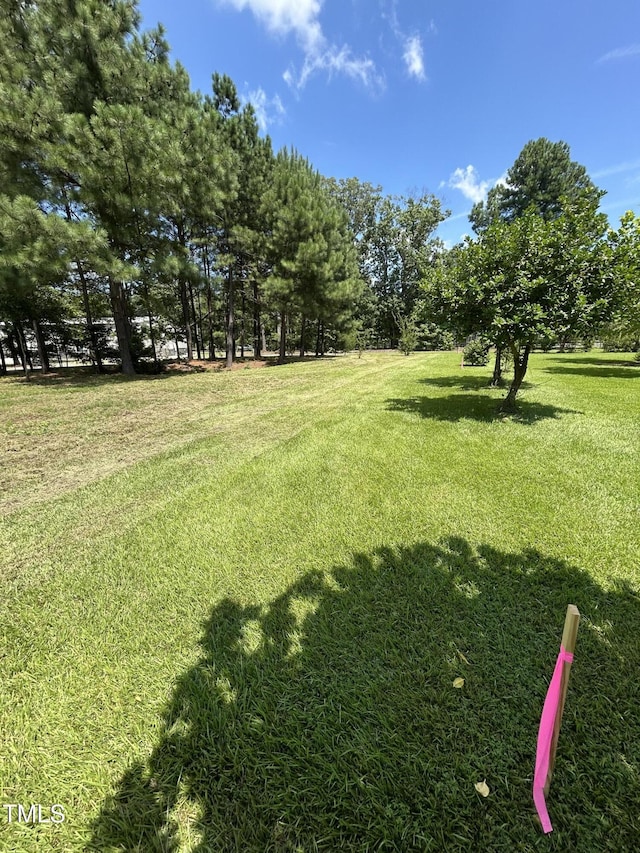 317 Doc Ln, Manson, NC 27553 - photo 18