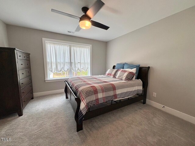 6521 Camellia Creek Dr, Raleigh, NC 27603 - photo 17