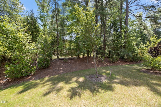 8027 Windthorn Pl, Cary, NC 27519 - photo 29