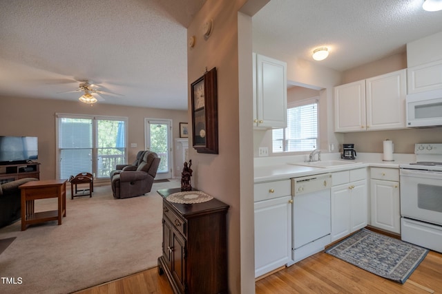 1604 Oakland Hills Way, Raleigh, NC 27604 - photo 5