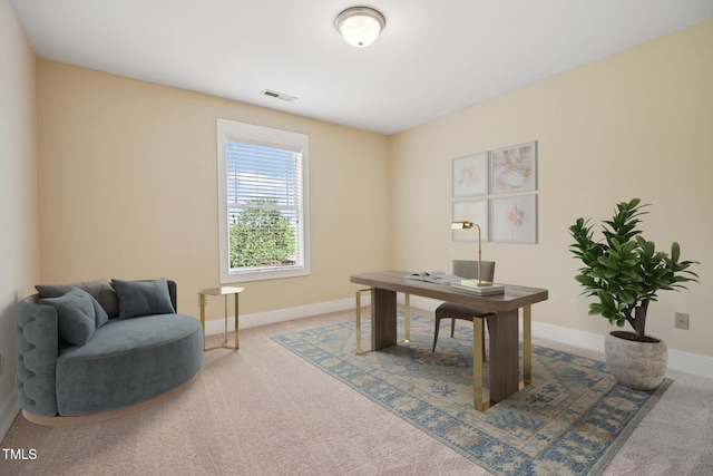 72 Joseph Alexander Dr, Fuquay Varina, NC 27526 - photo 40