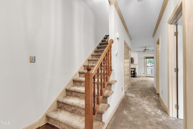 1210 Shadowbark Ct, Raleigh, NC 27603 - photo 4